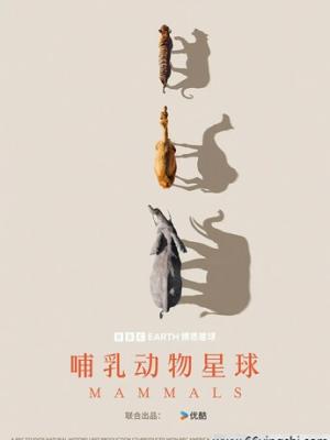 短剧